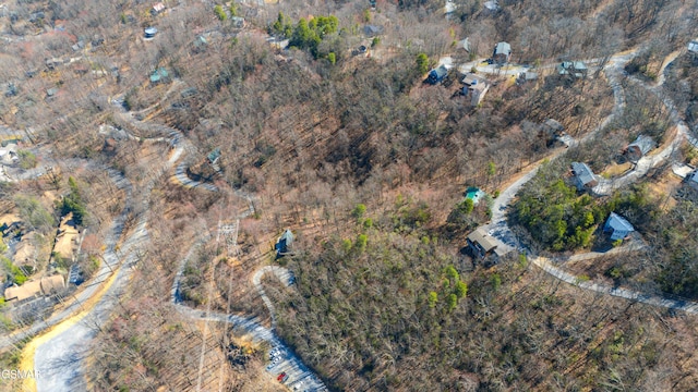 0 Tyrolea Ct, Gatlinburg, TN 37738