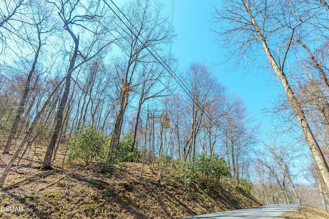 0 Tyrolea Ct, Gatlinburg, TN 37738