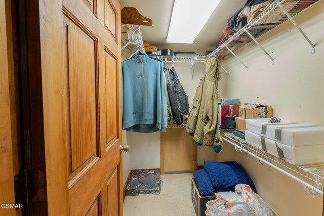 view of walk in closet