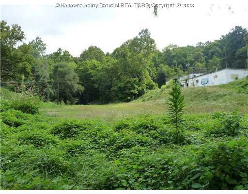 Listing photo 2 for 48 Williams St, Charleston WV 25302