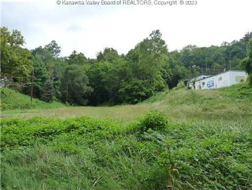 48 Williams St, Charleston WV, 25302 land for sale