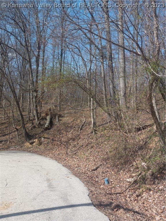 Listing photo 3 for 0 Lilly Dr, Charleston WV 25387