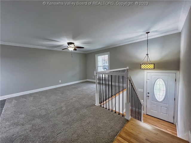 entrance foyer with ceiling fan, carpet, and ornamental molding