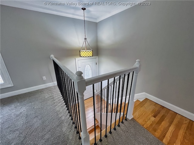 staircase featuring carpet and ornamental molding