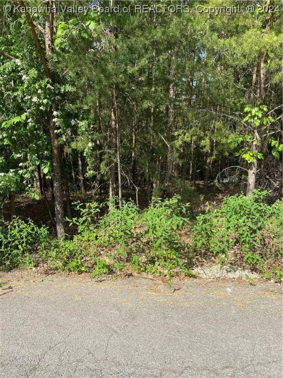 0 Redwood Ln, Elkview WV, 25071 land for sale