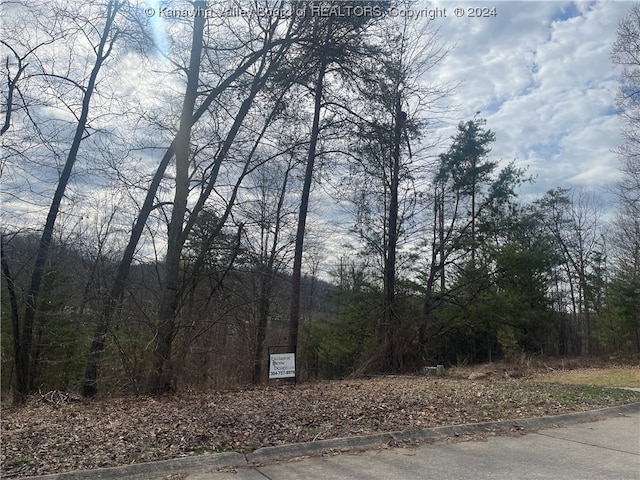 Listing photo 3 for 601 Ridgemont Rd, Hurricane WV 25526