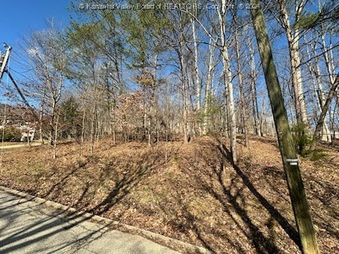 0 Pioneer Dr, Cross Lanes WV, 25313 land for sale