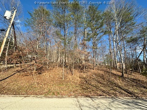 Listing photo 2 for 0 Pioneer Dr, Cross Lanes WV 25313