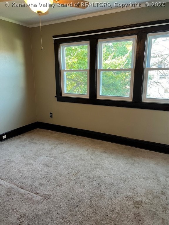 carpeted empty room featuring crown molding