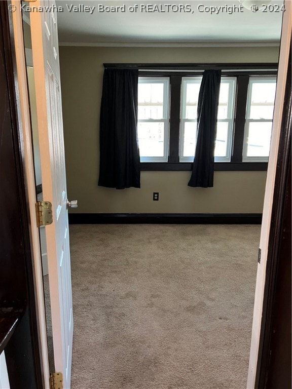 carpeted empty room featuring ornamental molding