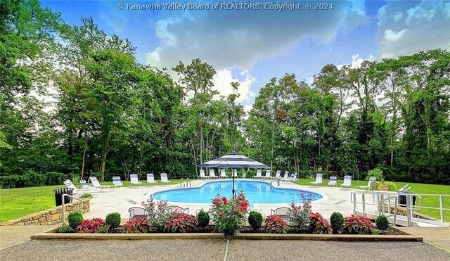 view of swimming pool with a patio area