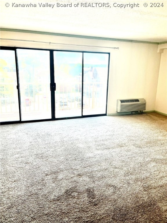 carpeted empty room featuring a healthy amount of sunlight