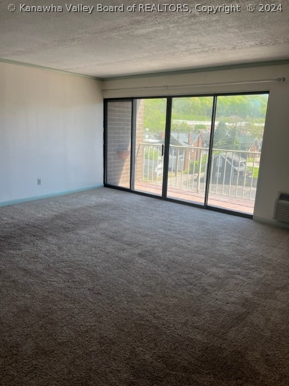 unfurnished room featuring a textured ceiling and carpet flooring