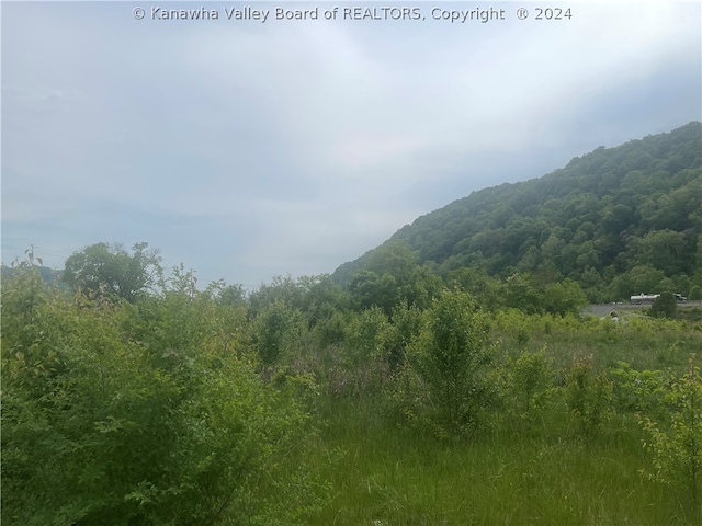 Listing photo 3 for 0 Alex Ln, Charleston WV 25304