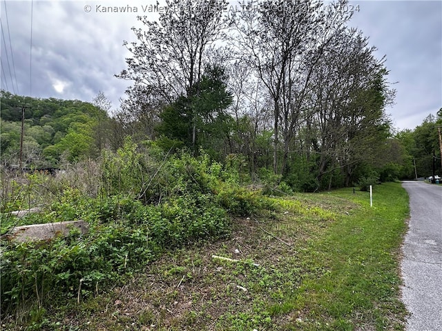 Listing photo 2 for TBD Allegheny St, WV 25639