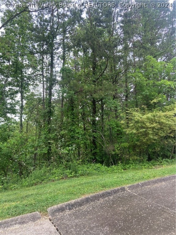 TBD Middle Coach Rd, Hurricane WV, 25526 land for sale