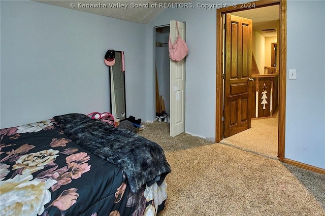 bedroom featuring carpet