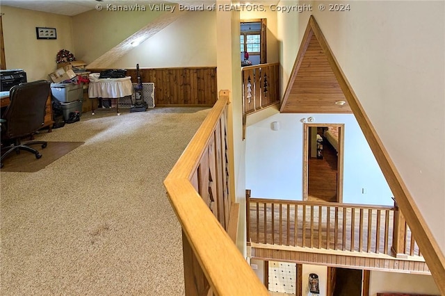 stairs featuring carpet flooring