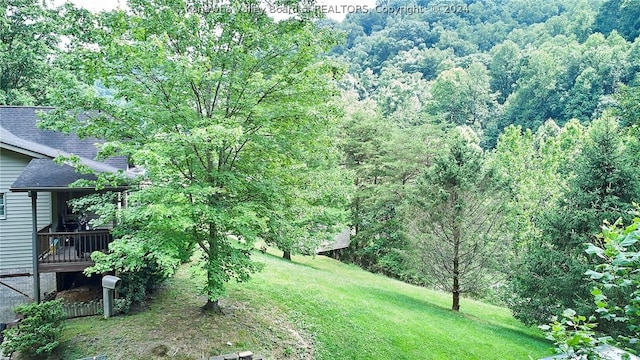 view of yard featuring a deck