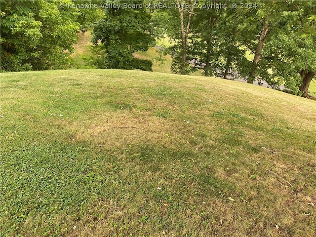 1279 Grace Rd, Reedy, WV 25270 - photo 24