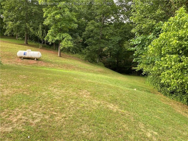 1279 Grace Rd, Reedy, WV 25270 - photo 25