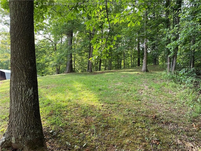1279 Grace Rd, Reedy, WV 25270 - photo 27