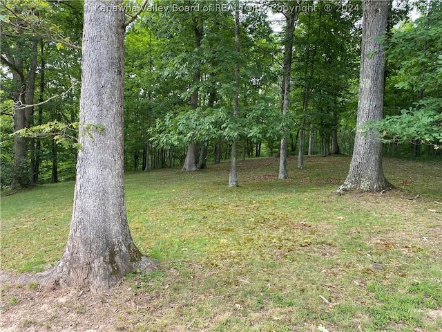 1279 Grace Rd, Reedy, WV 25270 - photo 29
