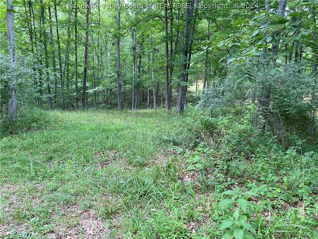 1279 Grace Rd, Reedy, WV 25270 - photo 30