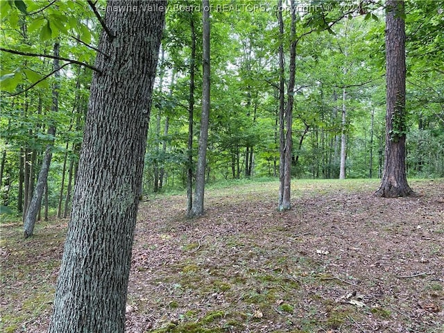 1279 Grace Rd, Reedy, WV 25270 - photo 31