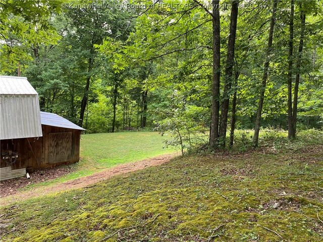 1279 Grace Rd, Reedy, WV 25270 - photo 32