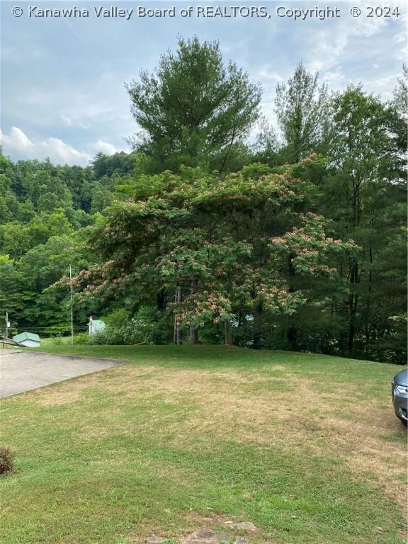 1279 Grace Rd, Reedy, WV 25270 - photo 34