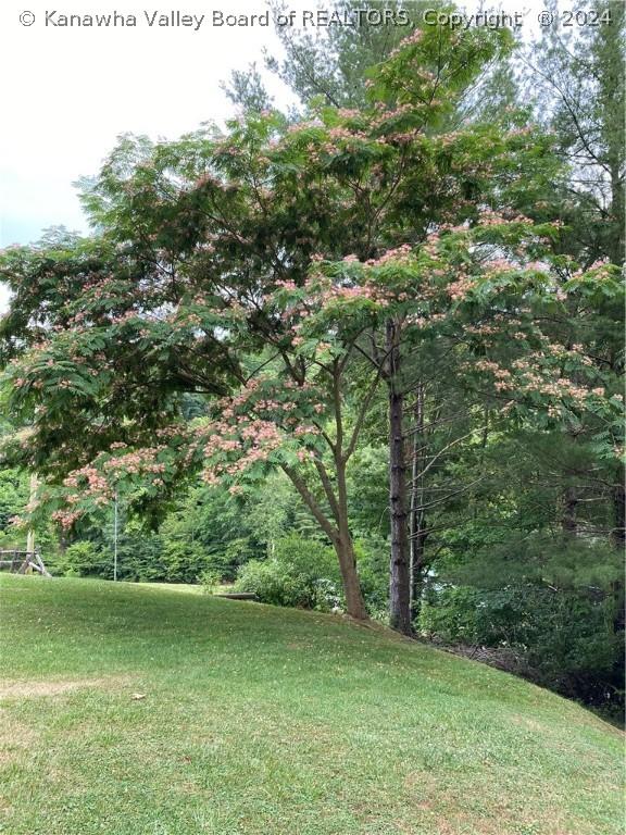 1279 Grace Rd, Reedy, WV 25270 - photo 38