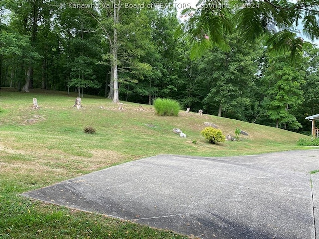 1279 Grace Rd, Reedy, WV 25270 - photo 39