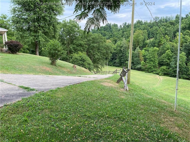 1279 Grace Rd, Reedy, WV 25270 - photo 40