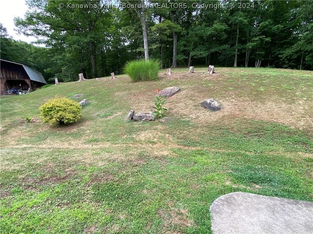 1279 Grace Rd, Reedy, WV 25270 - photo 41