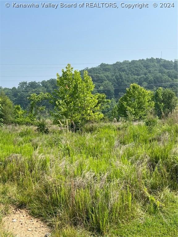 0 Association Dr, Charleston WV, 25311 land for sale