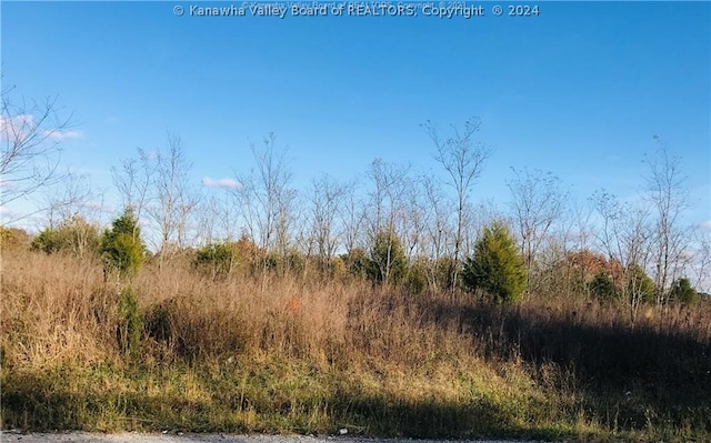 Listing photo 3 for 0 Charleston Rd, Ripley WV 25271