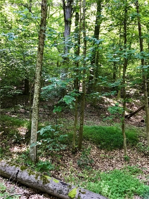 8 Rocky Step Rd, Scott Depot WV, 25560 land for sale