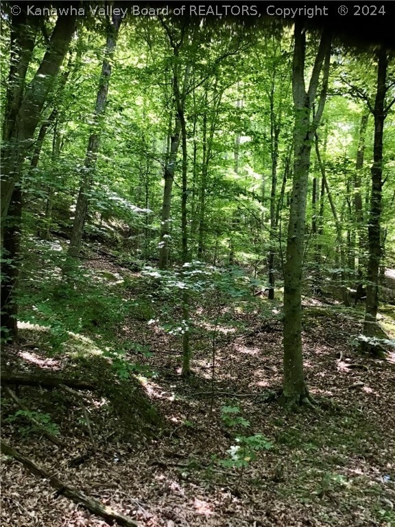 Listing photo 2 for 8 Rocky Step Rd, Scott Depot WV 25560