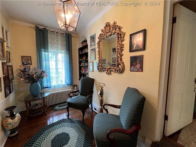 sitting room featuring a notable chandelier, ornamental molding, dark wood-type flooring, and radiator