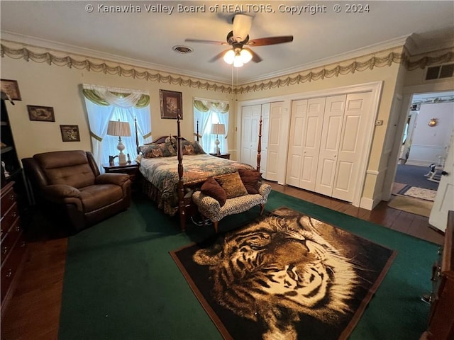 bedroom featuring multiple closets, ceiling fan, ornamental molding, and dark hardwood / wood-style floors