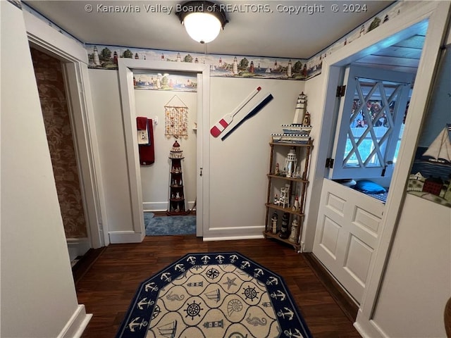 entrance foyer featuring dark wood-type flooring