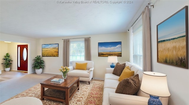 living room featuring light hardwood / wood-style flooring