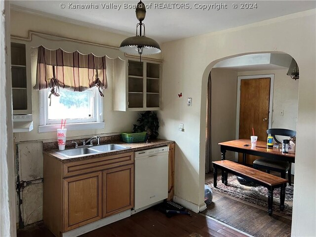 kitchen featuring hanging light fixtures, sink, dishwasher, and dark hardwood / wood-style floors