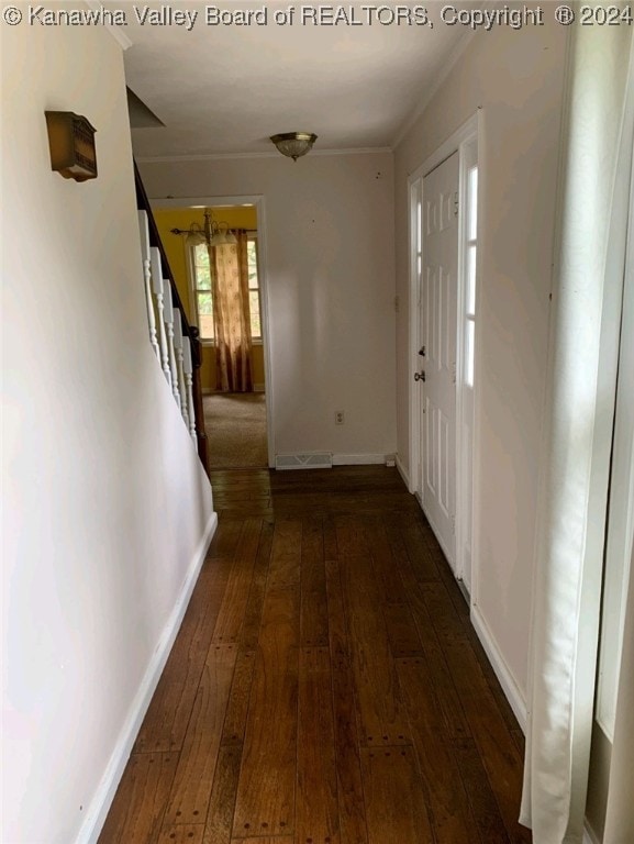 corridor with dark wood-type flooring