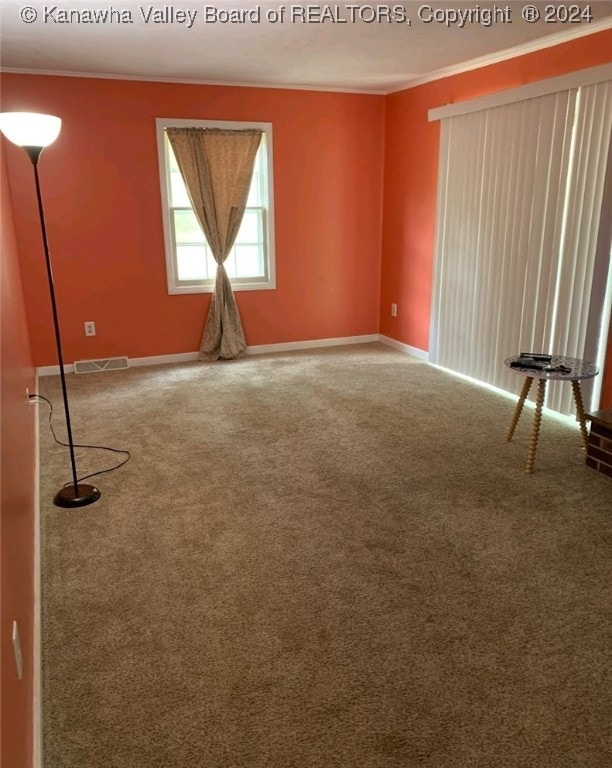 unfurnished room with carpet floors