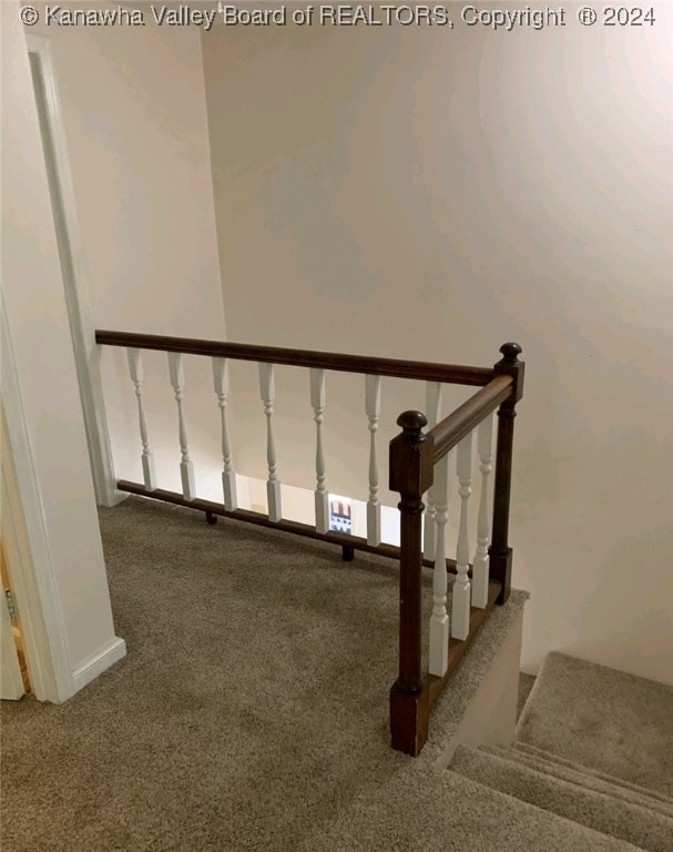 staircase featuring carpet floors