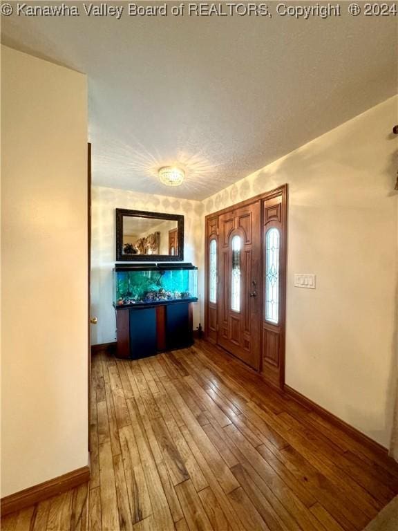 foyer entrance with wood-type flooring