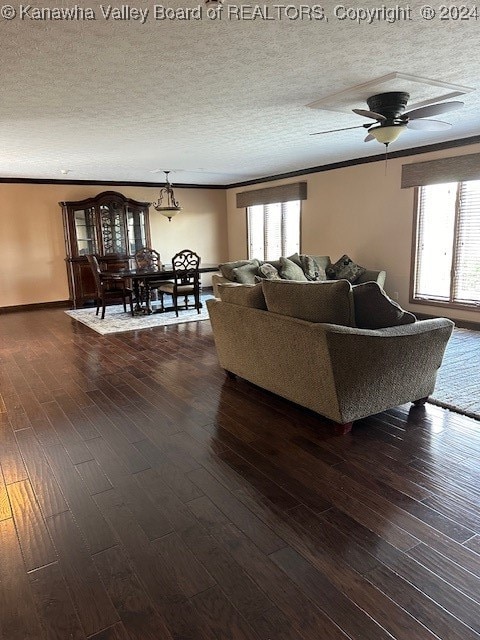 living room featuring dark wood-type flooring, a textured ceiling, ceiling fan, and ornamental molding