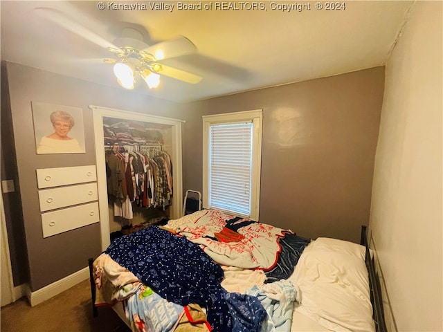 carpeted bedroom featuring a closet, ceiling fan, and a walk in closet